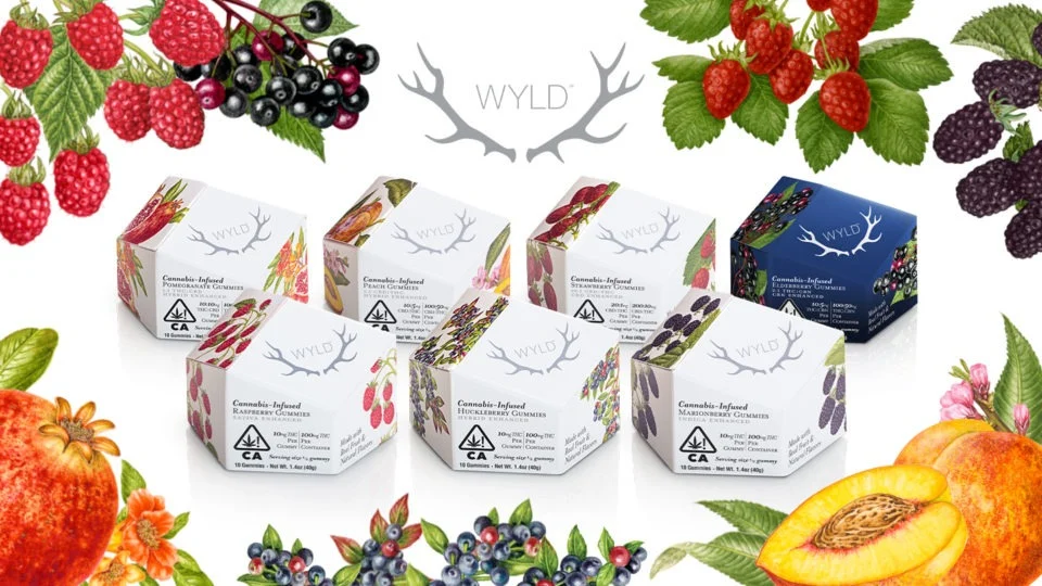 wyld wholesale